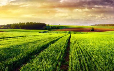 Le Québec s&rsquo;assure de demeurer un leader dans la gestion des risques associés aux contaminants d&rsquo;intérêt émergent dans les biosolides