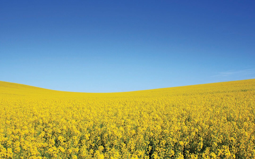 Qui sommes nous - Viridis Environnement