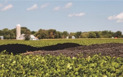 Québec proposera des seuils préventifs pour encadrer les PFAS dans les biosolides