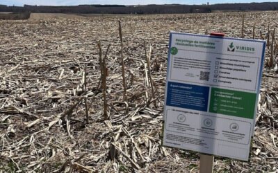 Les MRF s’affichent au champ